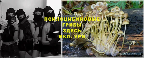 jwh Пролетарск